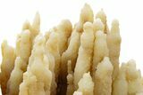 Fascinating, Calcite/Aragonite Stalactite Formation - China #377336-4